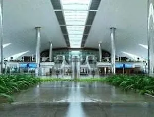 تحقق من التوفر